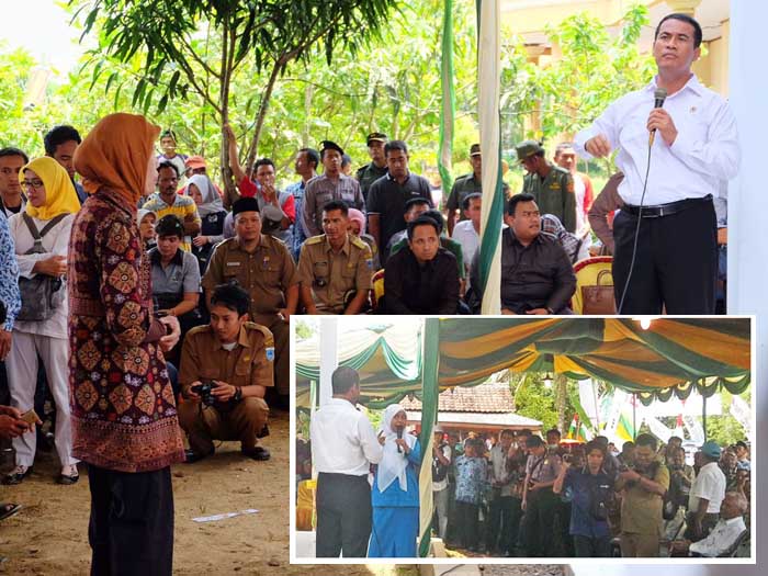 Seekor Jantan dan 100 Betina Apa Jadinya? Banten pun Didorong jadi Sentra Produksi Itik